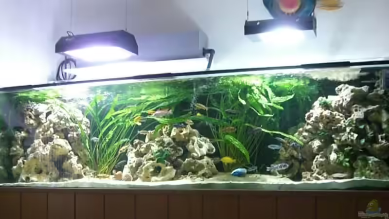 Gesamtansicht Gesamtansicht