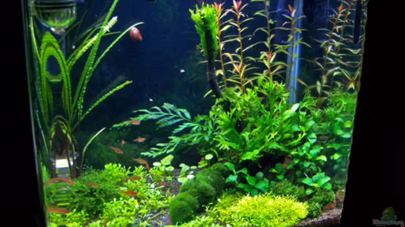 Gesamtansicht Gesamtansicht