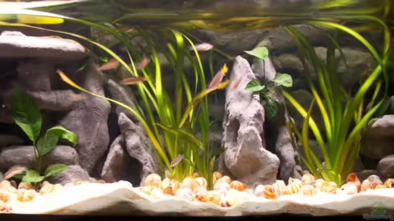 Gesamtansicht Gesamtansicht