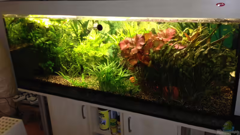 Gesamtansicht Gesamtansicht