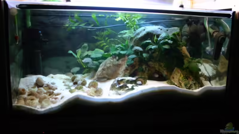 Gesamtansicht Gesamtansicht