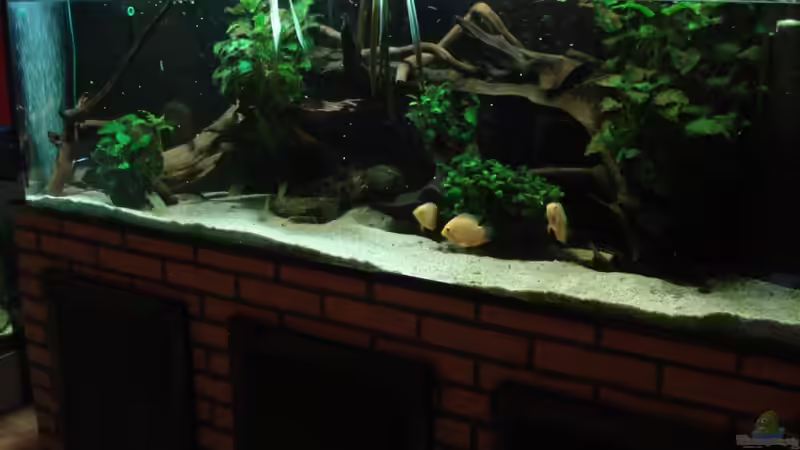 Gesamtansicht Gesamtansicht