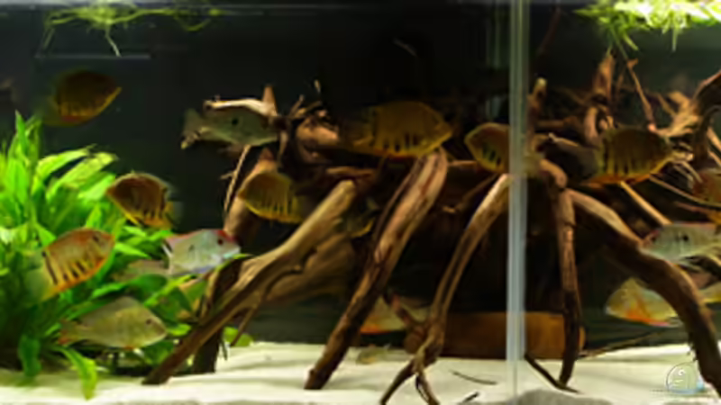 Gesamtansicht Gesamtansicht