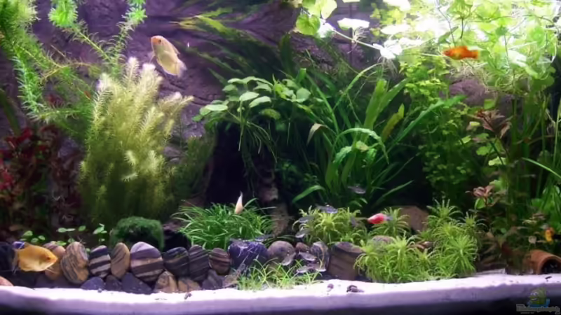 Gesamtansicht Gesamtansicht