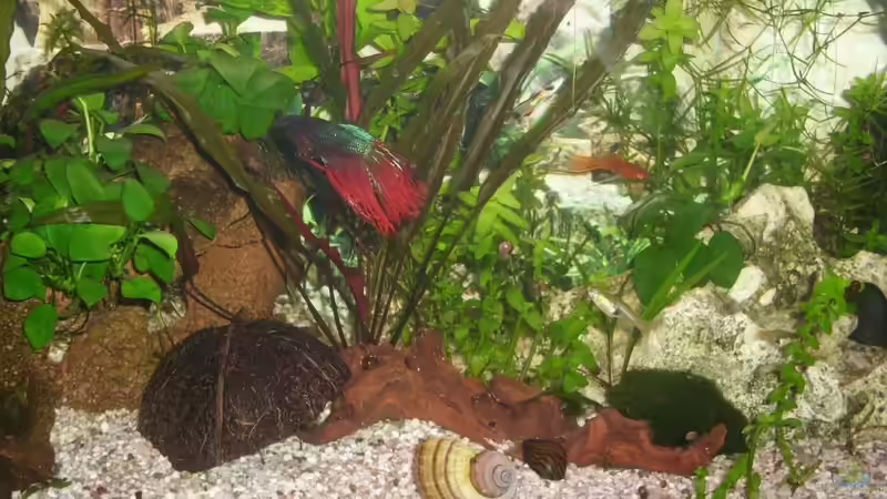 Gesamtansicht Gesamtansicht