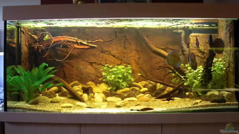 Gesamtansicht Gesamtansicht