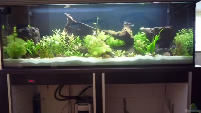 Gesamtansicht Gesamtansicht