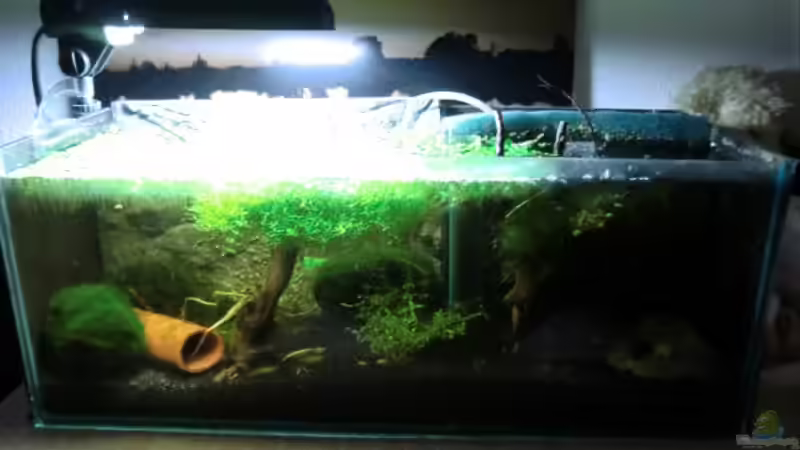 Gesamtansicht Gesamtansicht