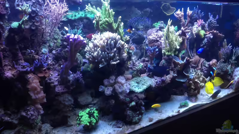 Gesamtansicht Gesamtansicht