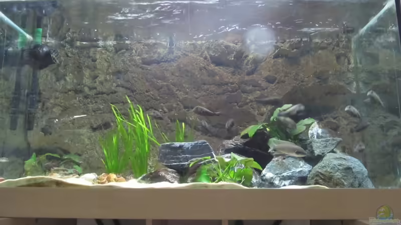 Gesamtansicht Gesamtansicht