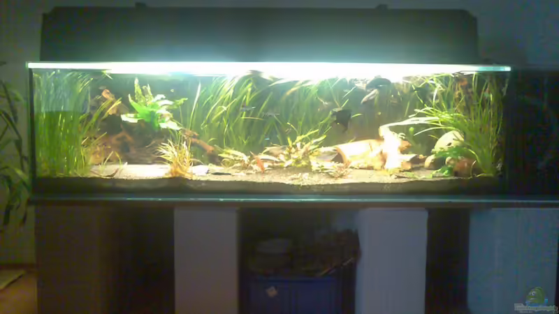 Gesamtansicht Gesamtansicht