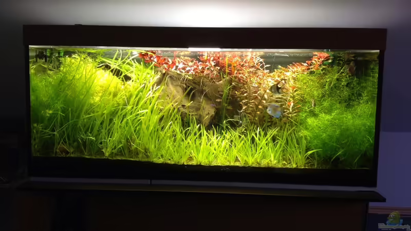 Gesamtansicht Gesamtansicht