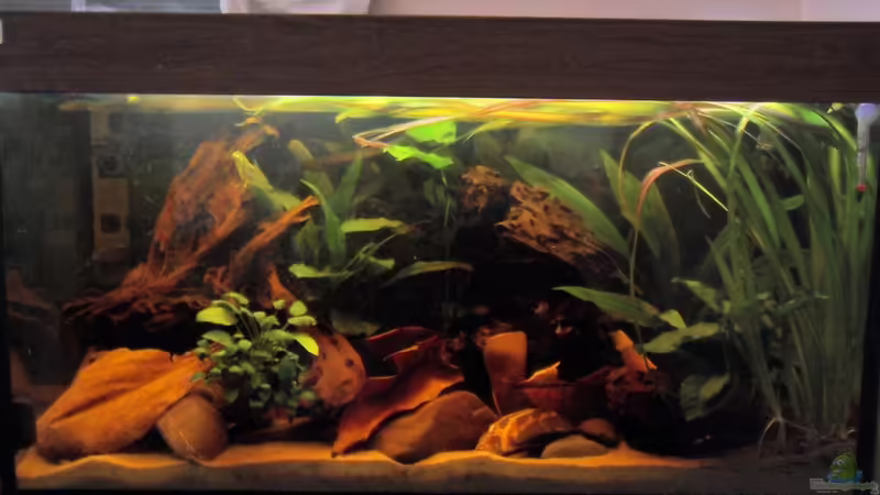 Gesamtansicht Gesamtansicht