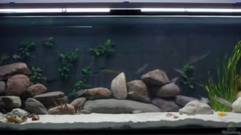 Gesamtansicht Gesamtansicht