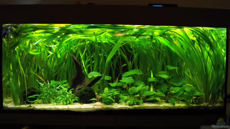 Gesamtansicht Gesamtansicht