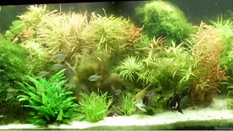 Gesamtansicht Gesamtansicht