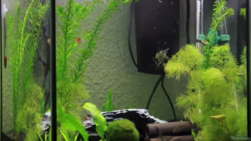 Gesamtansicht Gesamtansicht