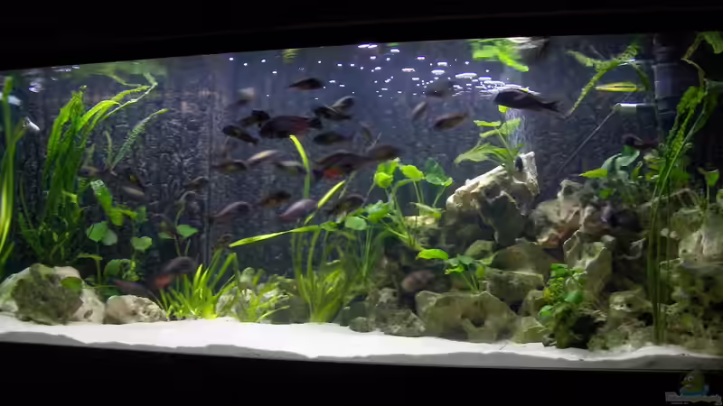 Gesamtansicht Gesamtansicht