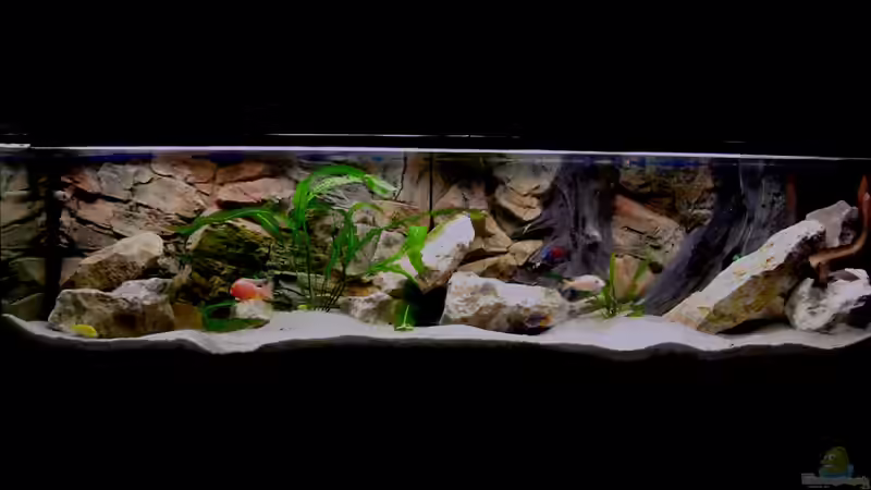 Gesamtansicht Gesamtansicht