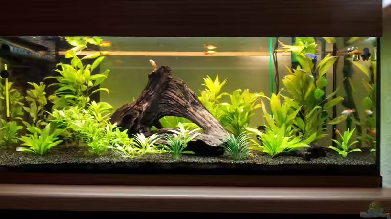 Gesamtansicht Gesamtansicht