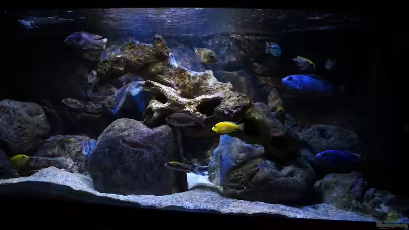 Gesamtansicht Gesamtansicht