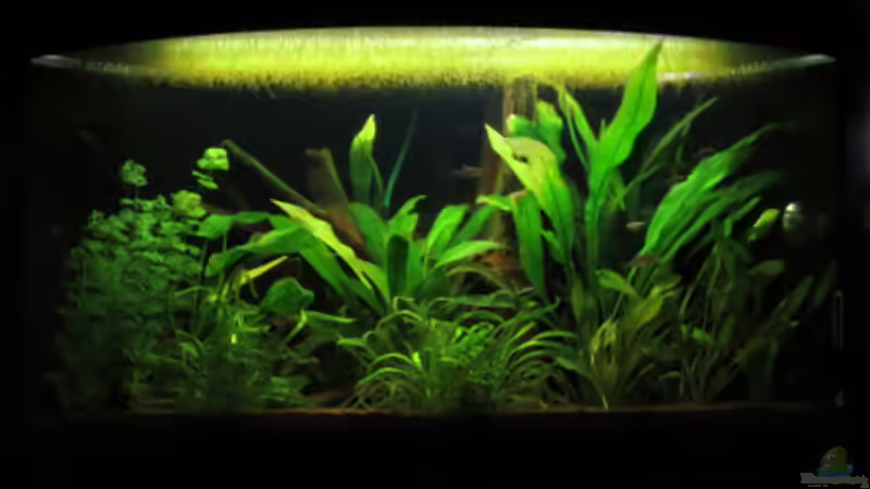 Gesamtansicht Gesamtansicht