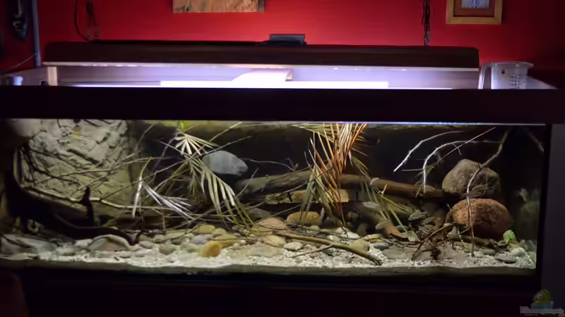 Gesamtansicht Gesamtansicht