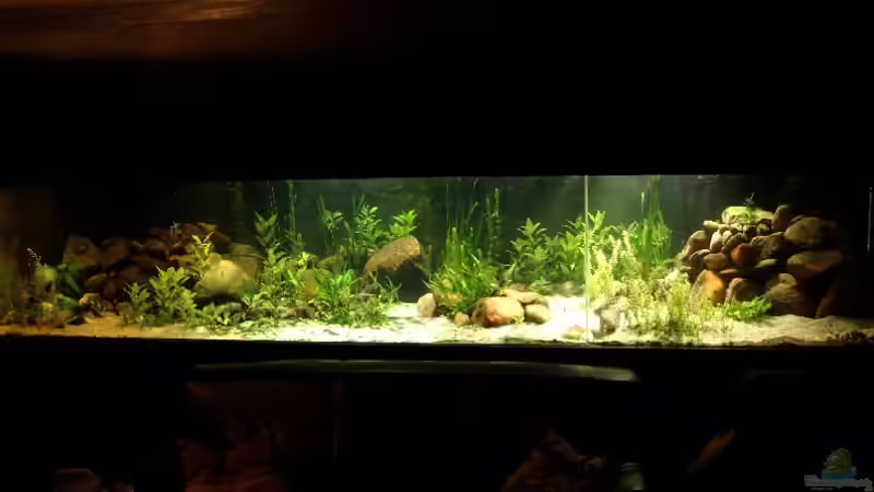 Gesamtansicht Gesamtansicht