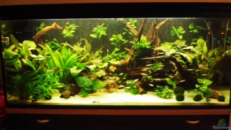 Gesamtansicht Gesamtansicht