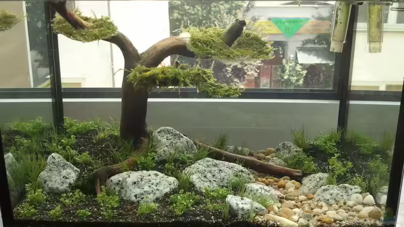 Gesamtansicht Gesamtansicht