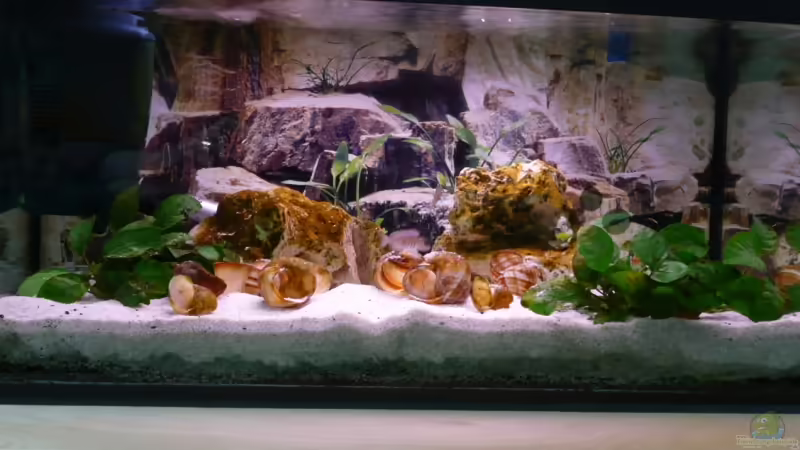 Gesamtansicht Gesamtansicht