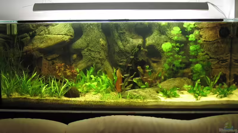 Gesamtansicht Gesamtansicht