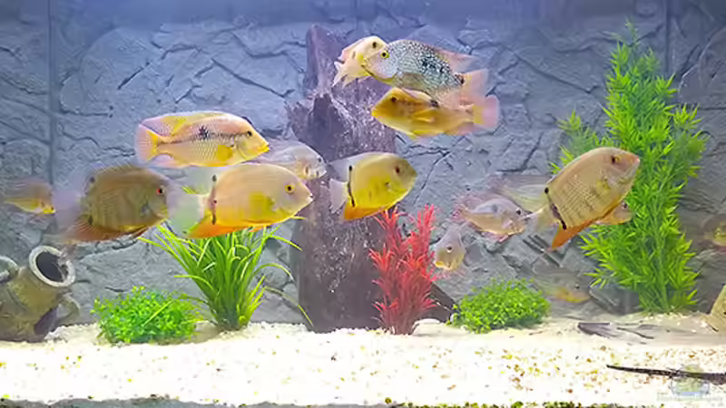 Gesamtansicht Gesamtansicht