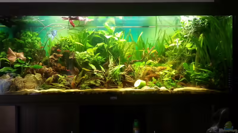 Gesamtansicht Gesamtansicht