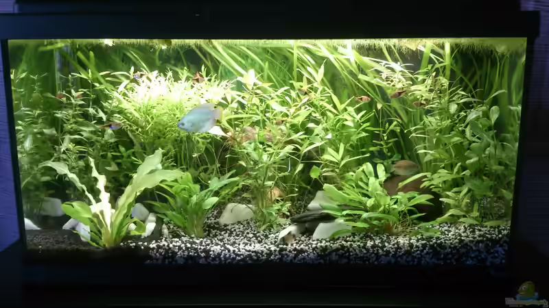 Gesamtansicht Gesamtansicht