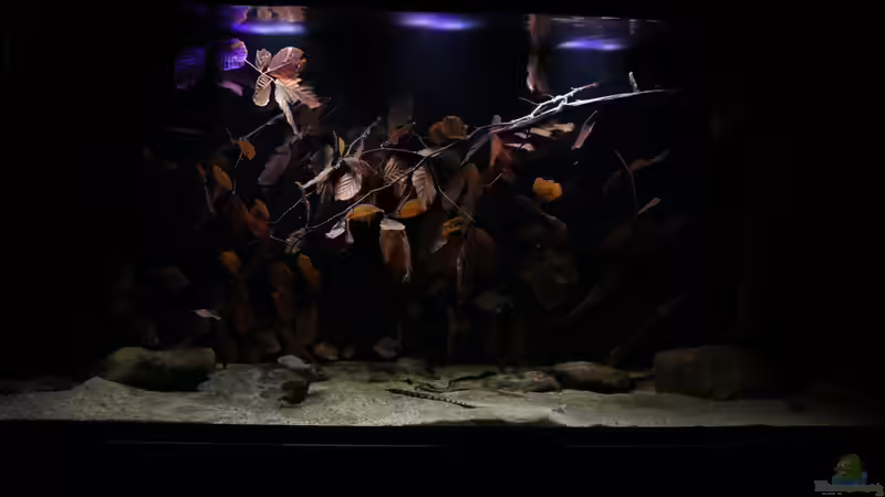 Gesamtansicht Gesamtansicht