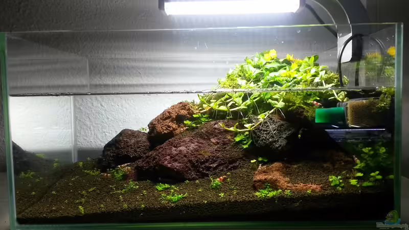 Gesamtansicht Gesamtansicht