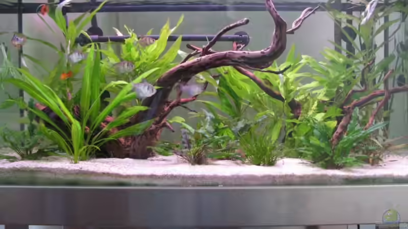 Gesamtansicht Gesamtansicht