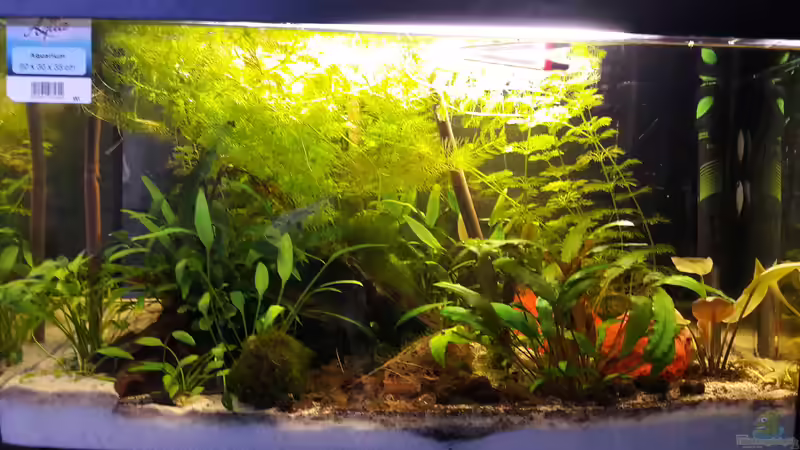 Gesamtansicht Gesamtansicht