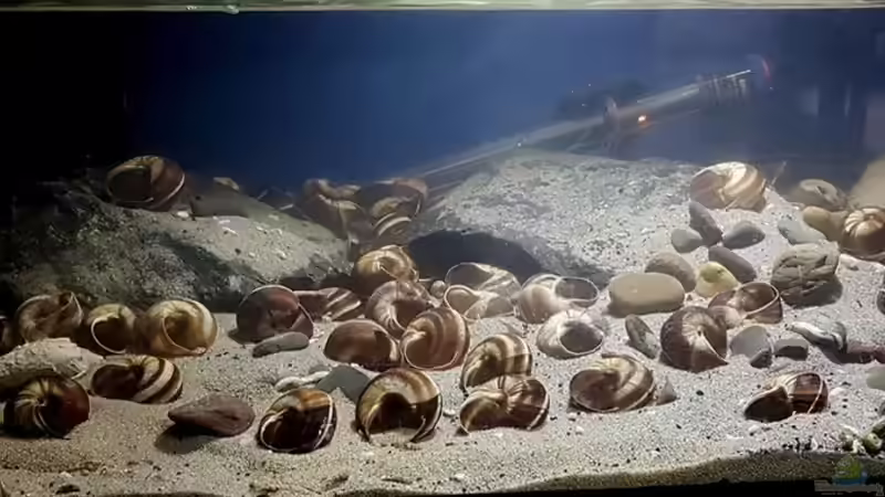 Gesamtansicht Gesamtansicht