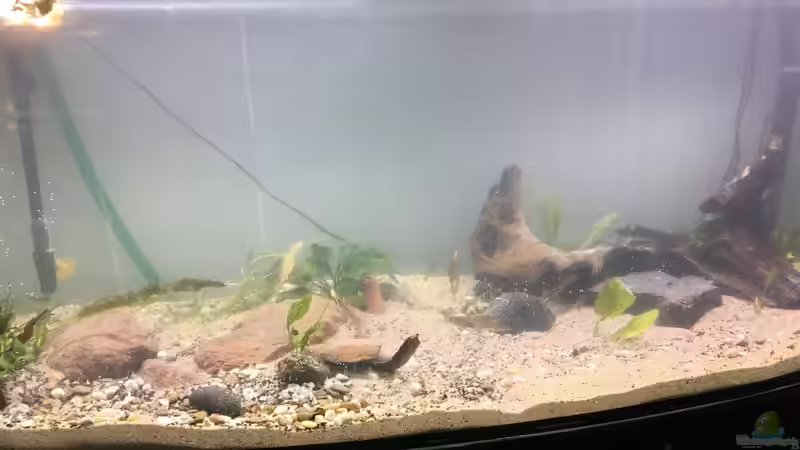 Gesamtansicht Gesamtansicht