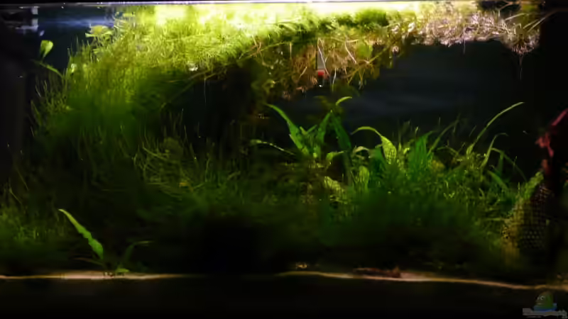 Gesamtansicht Gesamtansicht