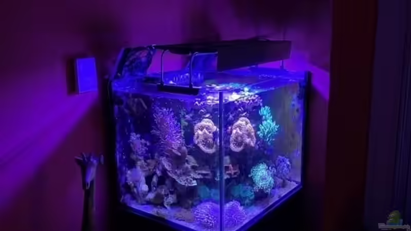 Gesamtansicht Gesamtansicht