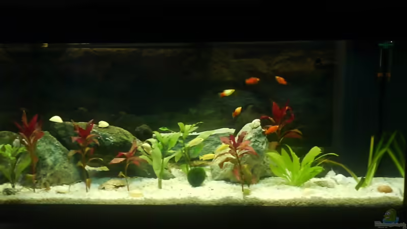 Gesamtansicht Gesamtansicht