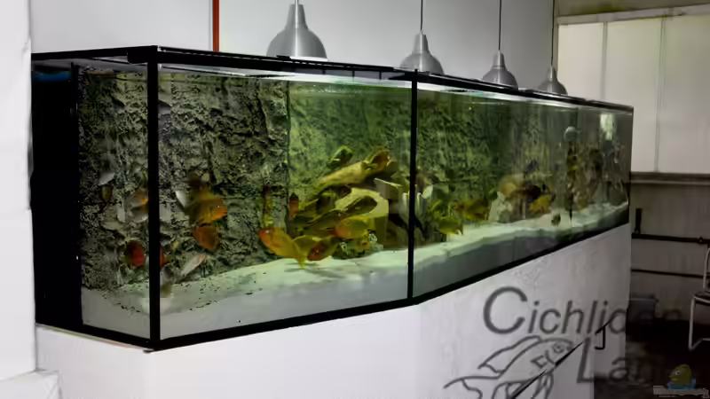 Gesamtansicht Gesamtansicht