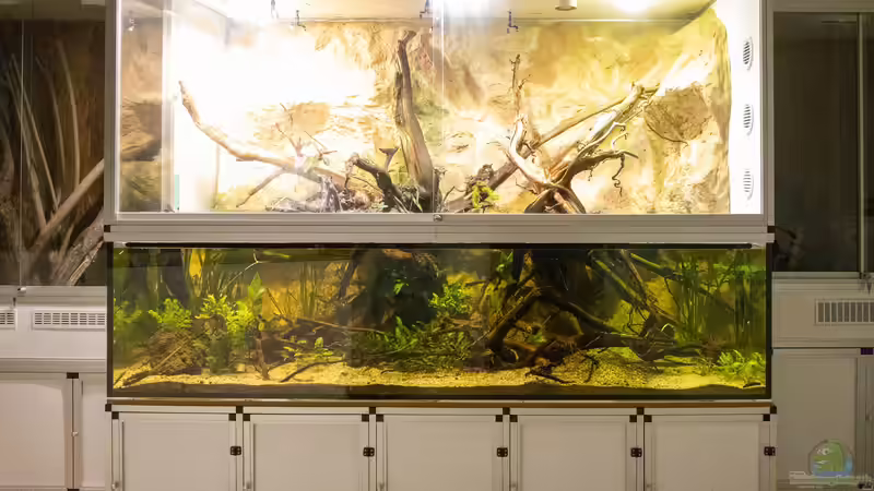 Gesamtansicht Gesamtansicht