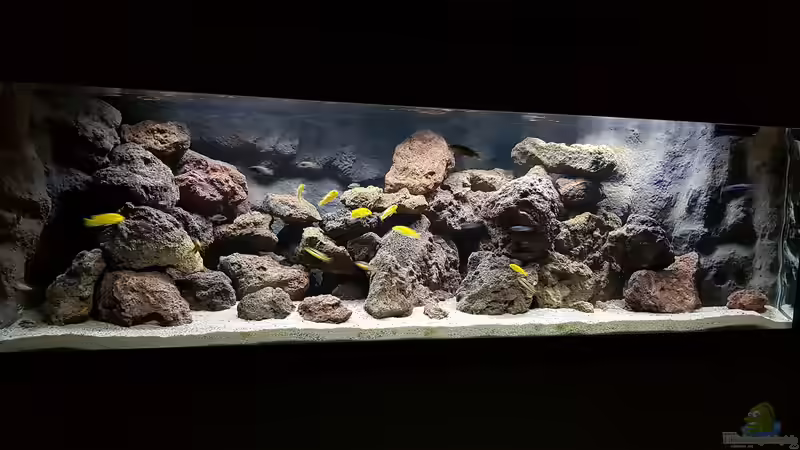 Gesamtansicht Gesamtansicht