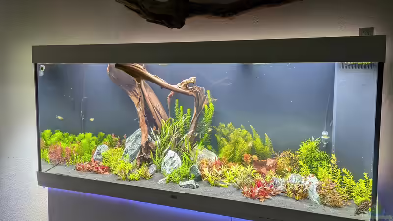 Gesamtansicht Gesamtansicht