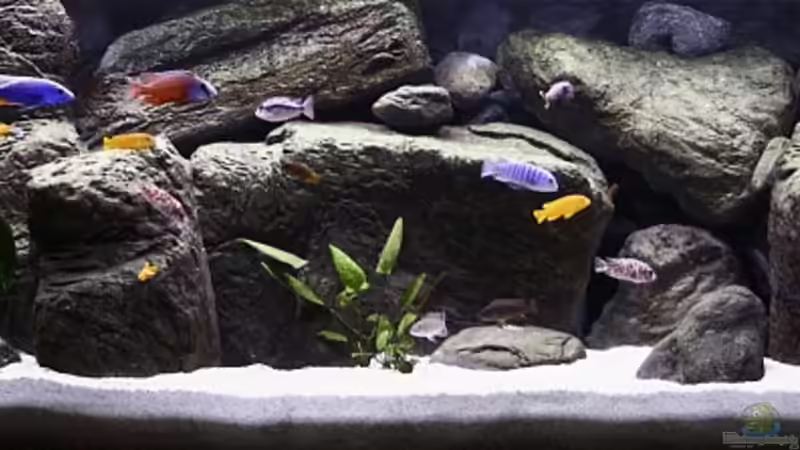 Gesamtansicht Gesamtansicht