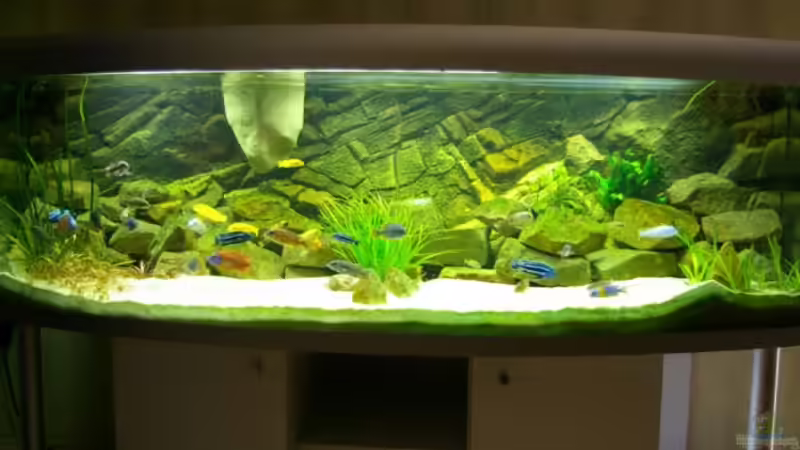 Gesamtansicht Gesamtansicht